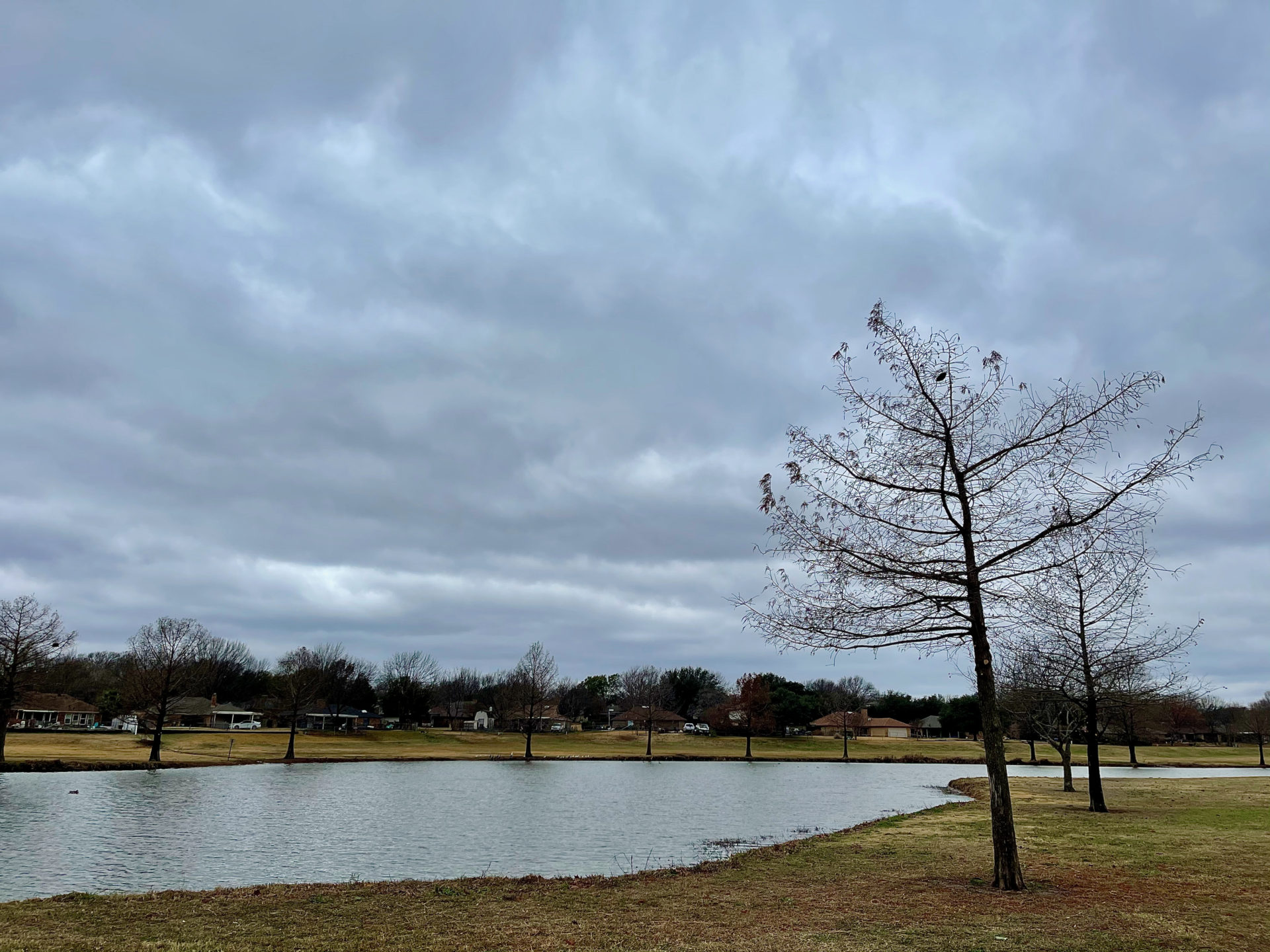 New Year&#039;s Day Walk │ Winter Walk - Traveling with JC